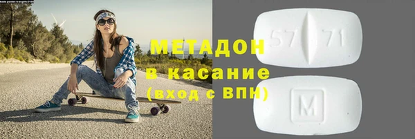 прущие грибы Богородицк