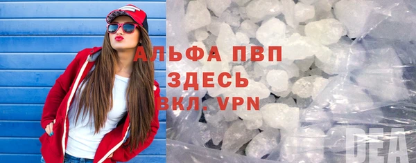 прущие грибы Богородицк