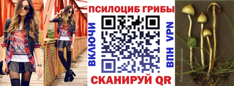 Галлюциногенные грибы мицелий  Купить закладки  Муром 