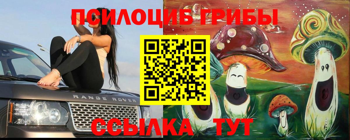 Псилоцибиновые грибы Cubensis  Муром  Галлюциногенные грибы прущие грибы 