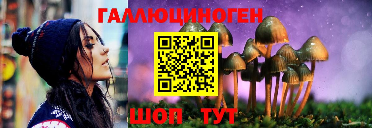 Муром  Галлюциногенные грибы мицелий  Вход с VPN  Псилоцибиновые грибы мухоморы 