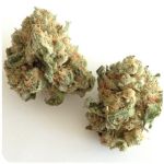 Шишки "White Widow"  (Белая вдова)  Гидропоника -  Бошка VHQ в Муроме